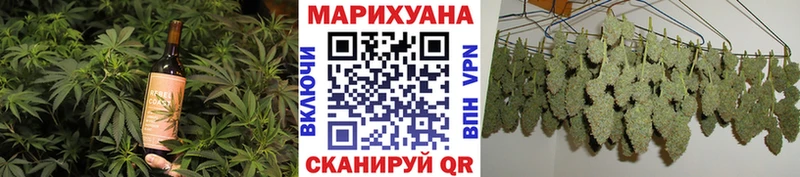 Canna-Cookies конопля Кызыл