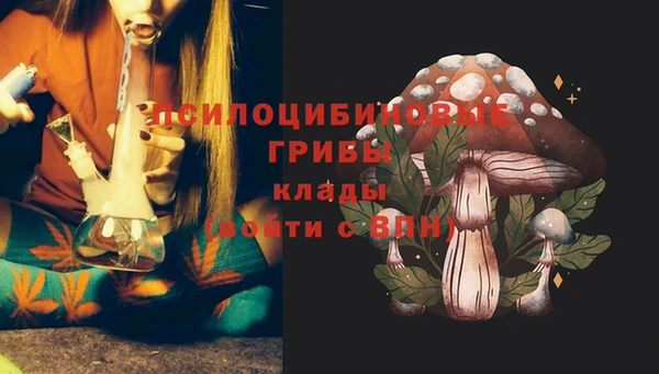 прущие крисы Алексин